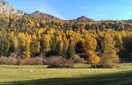 Villetta PiemartinCove - Foto 33