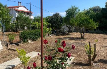 Cosy spot near the beach only 45 min from Athens - Foto 20