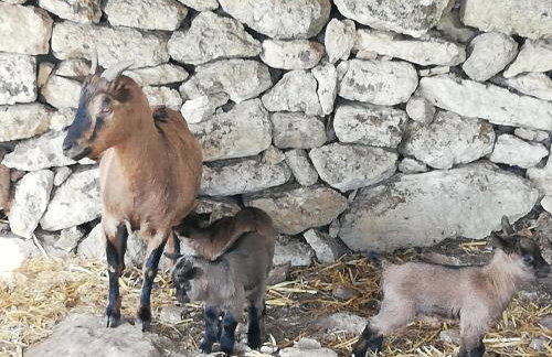 Le Grotte di Sileno - Foto 44