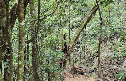 Rincón de Paz - Foto 28