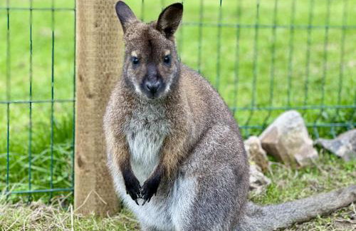 Parlour Barn - Photo 55