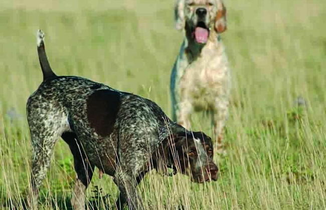 Colleverde Country House Beauty&Wellness - Foto 73