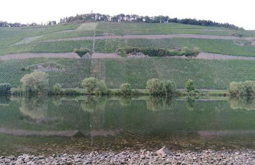 FeWo Sonnenlay - Apartments an der Mosel - Foto 24