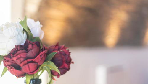 casa dei zitelli studio de charme avec jardin et terrasse - Foto 3