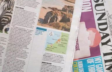 cellar cove - Foto 11