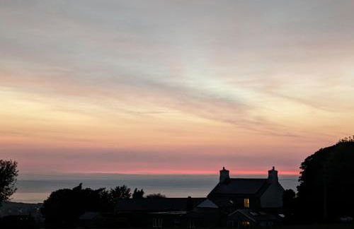 The Annex - Photo 15