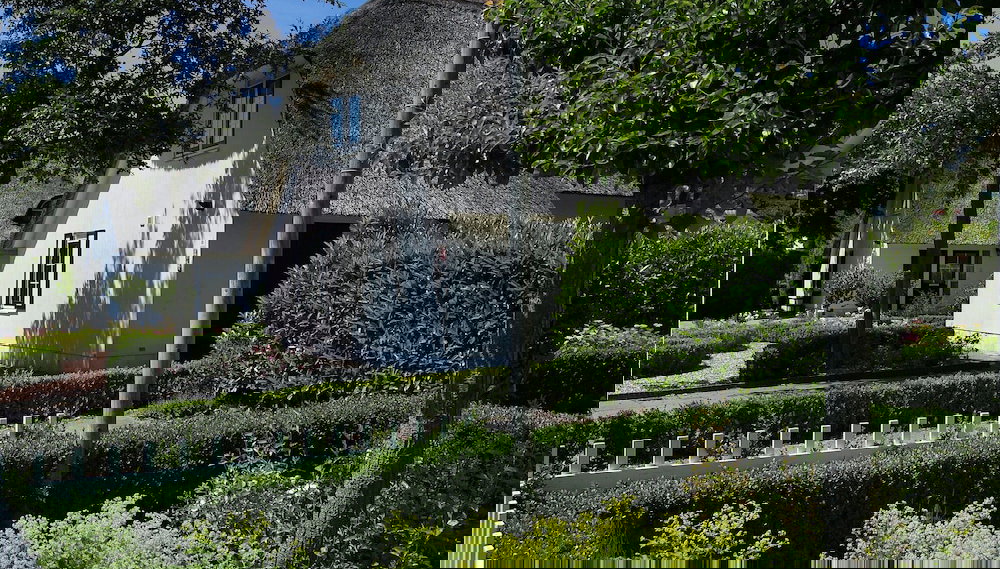 Villa in Banjaard Near North Sea Beach - Foto 1, Imagen principal