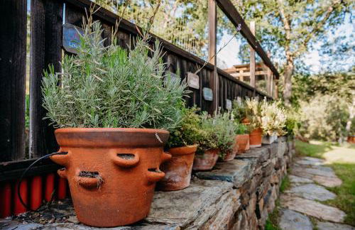 Oak Meadows House - A unique home near Yosemite - Foto 11