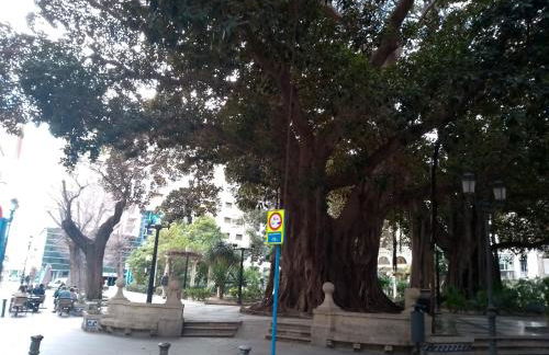 La Estrella de Alicante - Foto 34