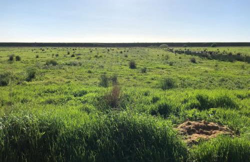 Deichkieker - charmantes Ferienhaus mit großem Garten in Alleinlage nahe der Nordsee - Foto 42
