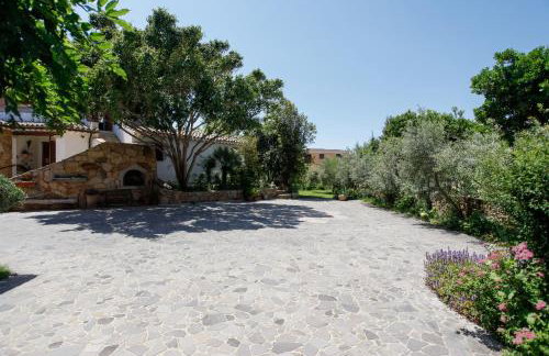 mirtagru Bilo Mare 2 - Photo 19