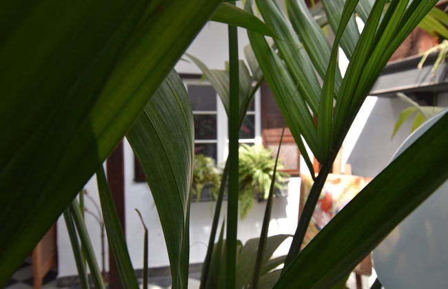 Gato Azul Coliving - Foto 23