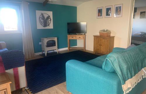 Field View - Foto 14