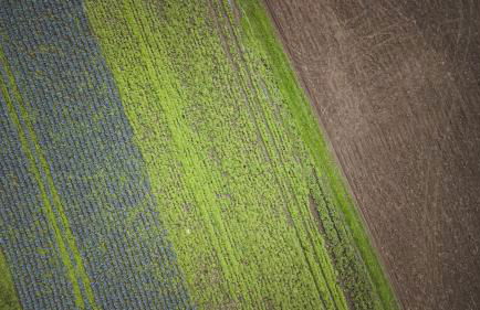 Apartment Serena - Photo 19