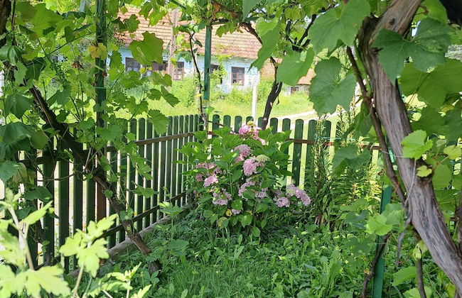 Kokotova Hiža - Foto 36