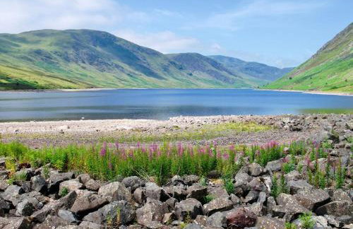 3 Bed in Crieff oc-90794 - Photo 15