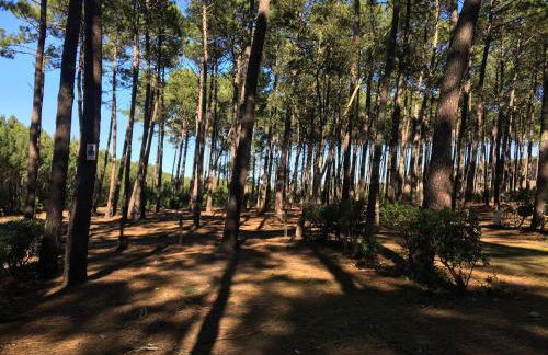 La bergerie des Landes - Foto 72