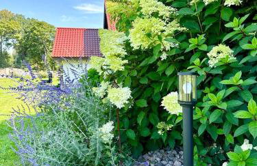 Wierzbowy Zakątek - Foto 50