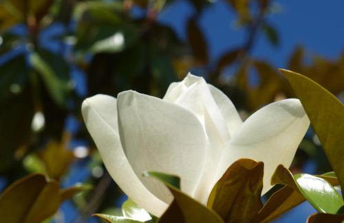 Le Hibou - La Cipière Gîtes - Foto 26