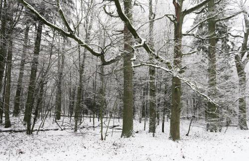 Cztery Pory Roku - Foto 70