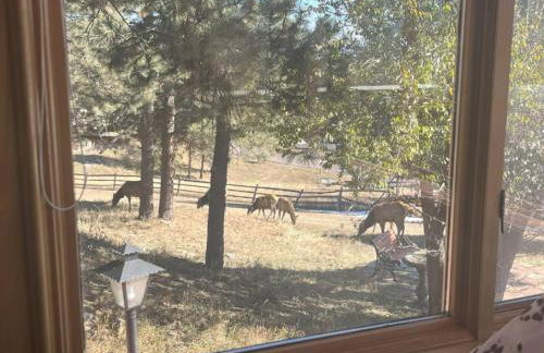 Mountain Top Luxury Red Rocks Hot tub Sauna Views - Photo 29