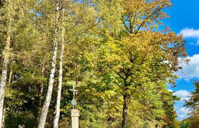 Landhaus am Schloss - Foto 49