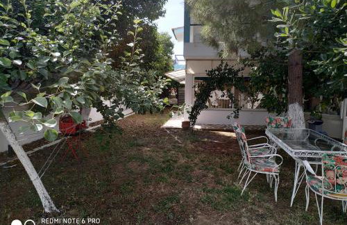 Muses apartments - Photo 10