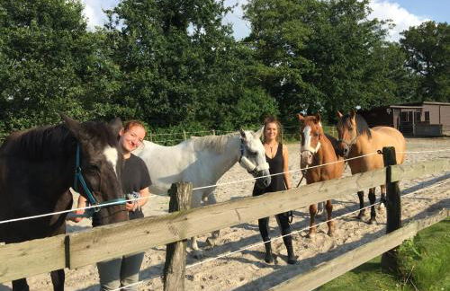 Ferienhof Welsch - Foto 22