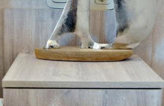 Sykea Luxury Apartment - Foto 32