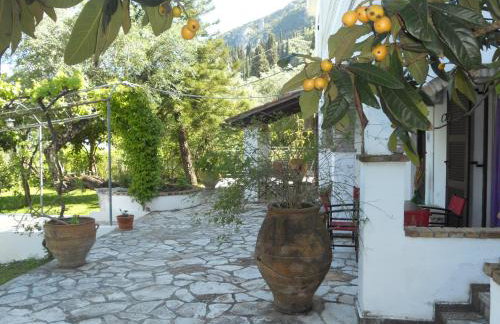 Gina Studios - Foto 33