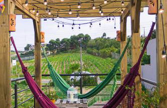 Capim Limão Containers do Rosa - Foto 14