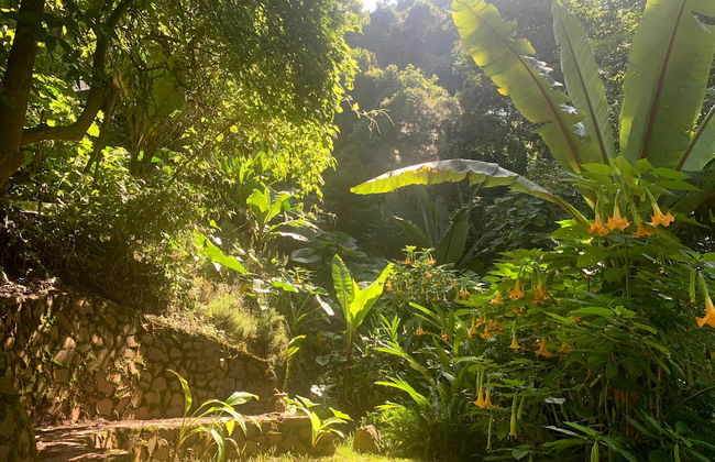 Finca El Tambor - Foto 60