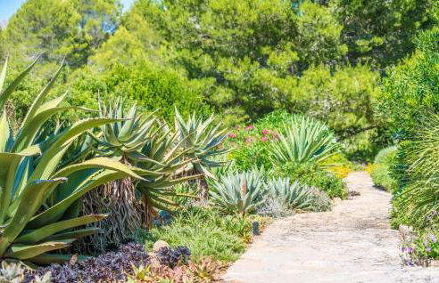 Can Ses Figueres - Foto 27