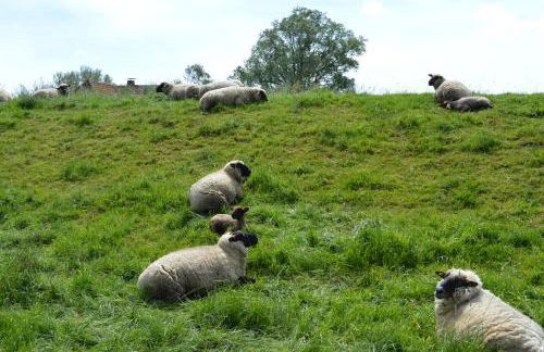 Ferienwohnung Osteland - Foto 27
