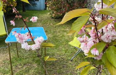 Charmant Cottage d'artistes - Foto 28