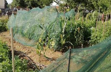 Peaceful cottage with incredible panoramic view - Foto 10