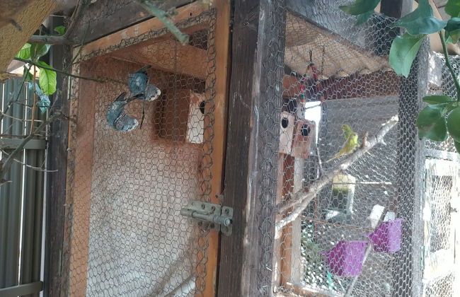 Assaf's Cabin - Foto 20