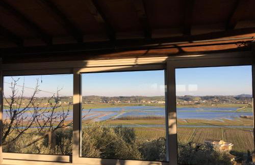 Locazione turistica Casa olivo - Foto 20