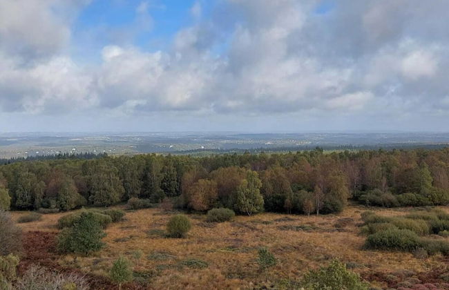 Heritage Villa in Spa With Garden - Photo 37