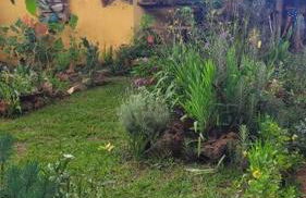 Diamantina, Curralinho Extração - Foto 63