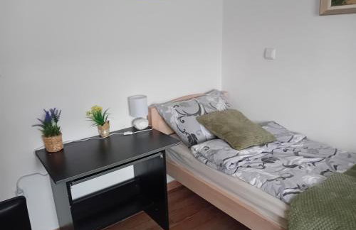 Apartmani Ani - Foto 2