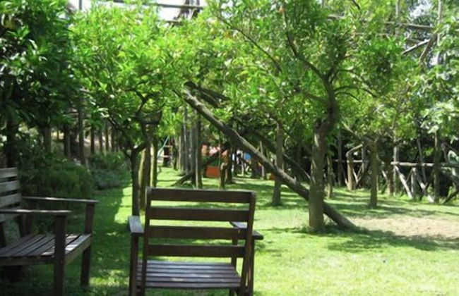 Podere don Peppe 1884 - Photo 27