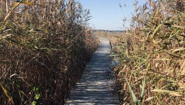 Słońce i Woda - 2 domki nad brzegiem jeziora Śniardwy z własnym pomostem, zejściem do wody i przecudnym widokiem na jezioro - Foto 2