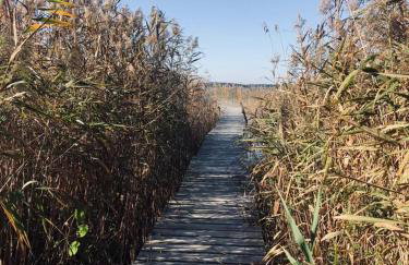 Słońce i Woda - 2 domki nad brzegiem jeziora Śniardwy z własnym pomostem, zejściem do wody i przecudnym widokiem na jezioro - Foto 2