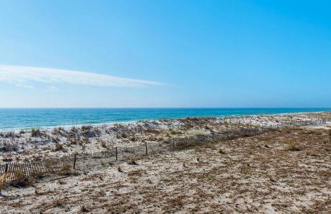 White Sands 447 - Photo 45