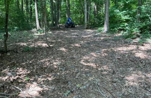 Hancock Hills Smoky Mountain Retreat CosbyTN - Foto 25