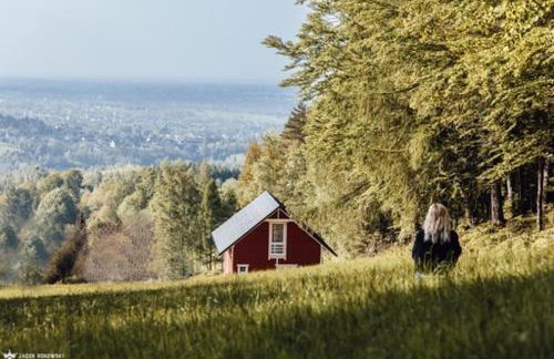 Forest house - Foto 45