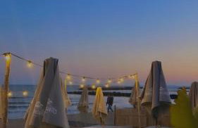 Le rivage - Photo 25