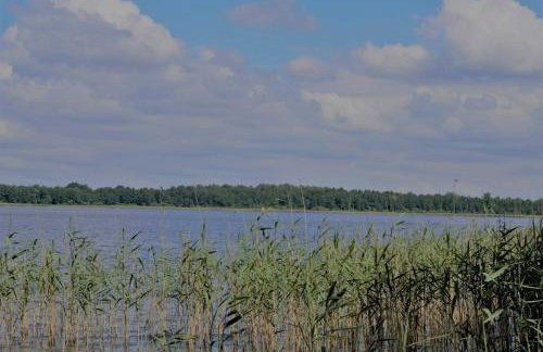 Domek letniskowy TONKA - Foto 12