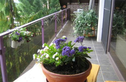 Ferienwohnung Virginija - Foto 27